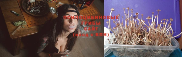 молекула духа Майский