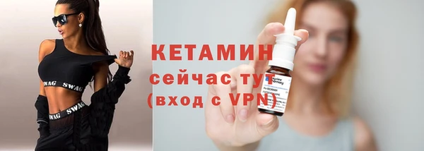 прущие грибы Ельня
