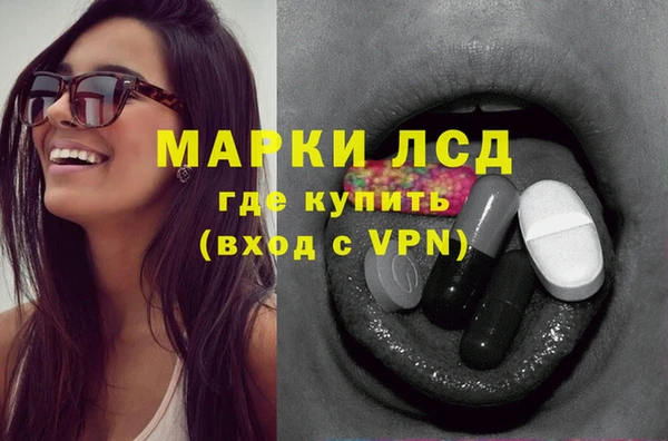 PSILOCYBIN Магас