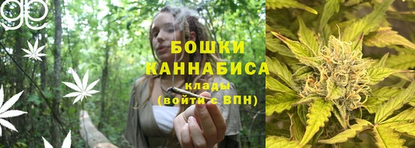 стафф Горнозаводск