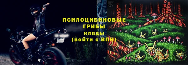 прущий лед Вязники