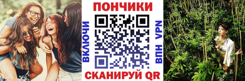 Марихуана семена  купить наркотики цена  Ершов 