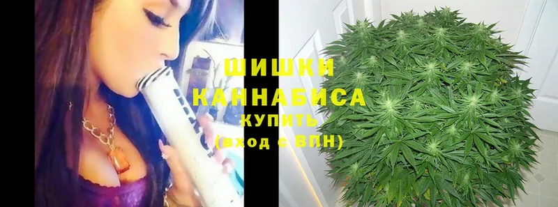 цена   блэк спрут   Бошки Шишки OG Kush  Ершов 